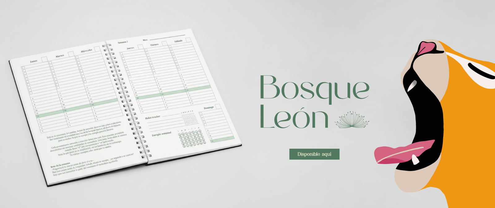 banner-home-2-desktop