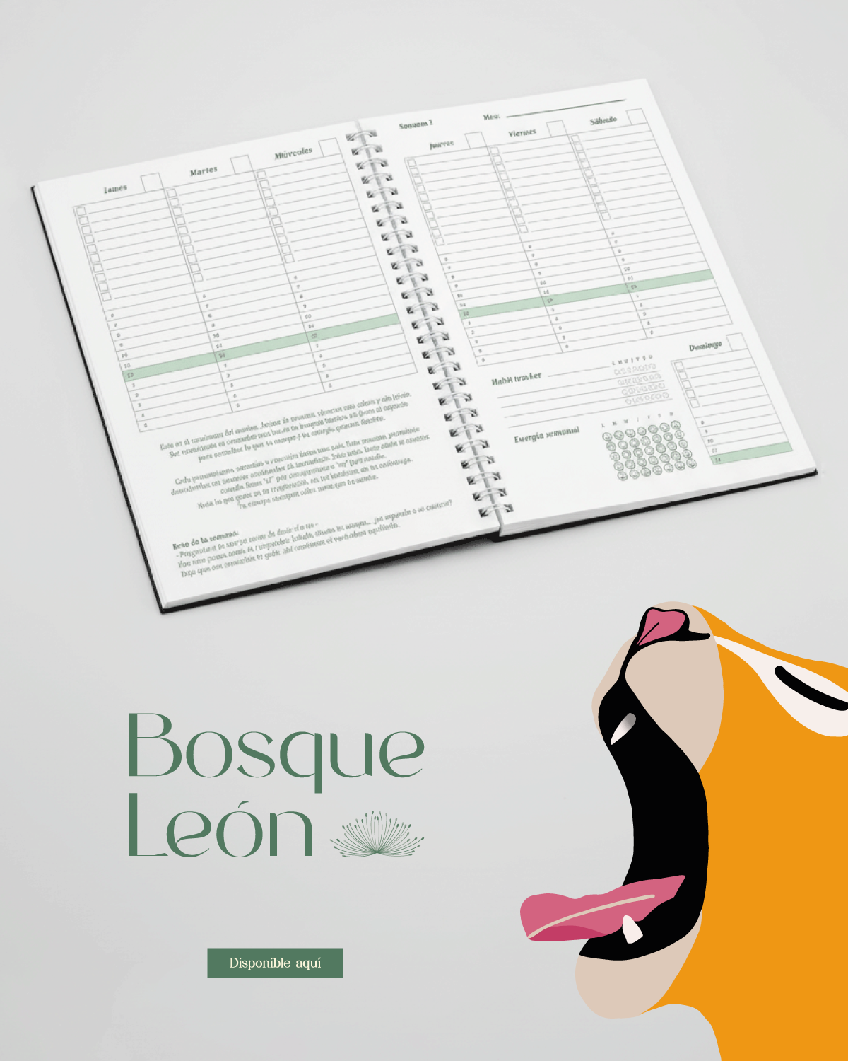 banner-home-2-device