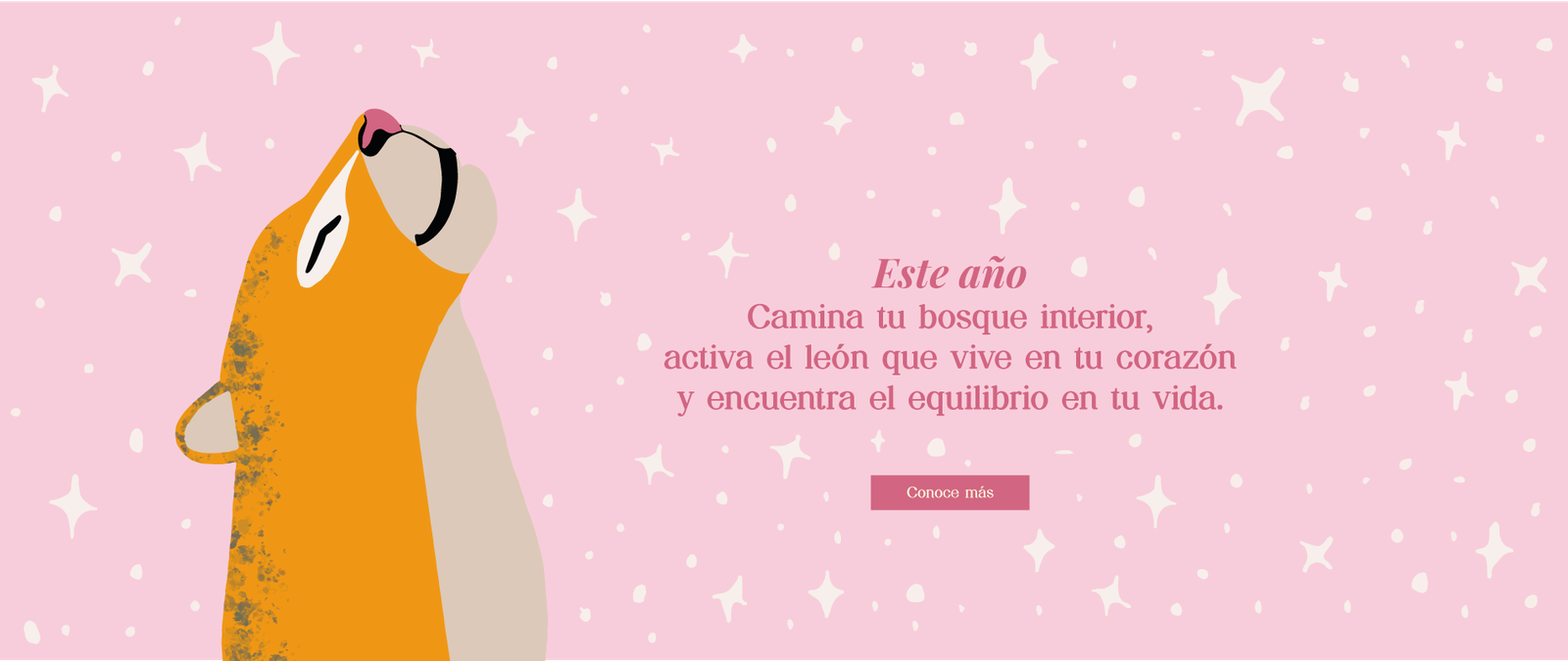 banner-home-3-desktop