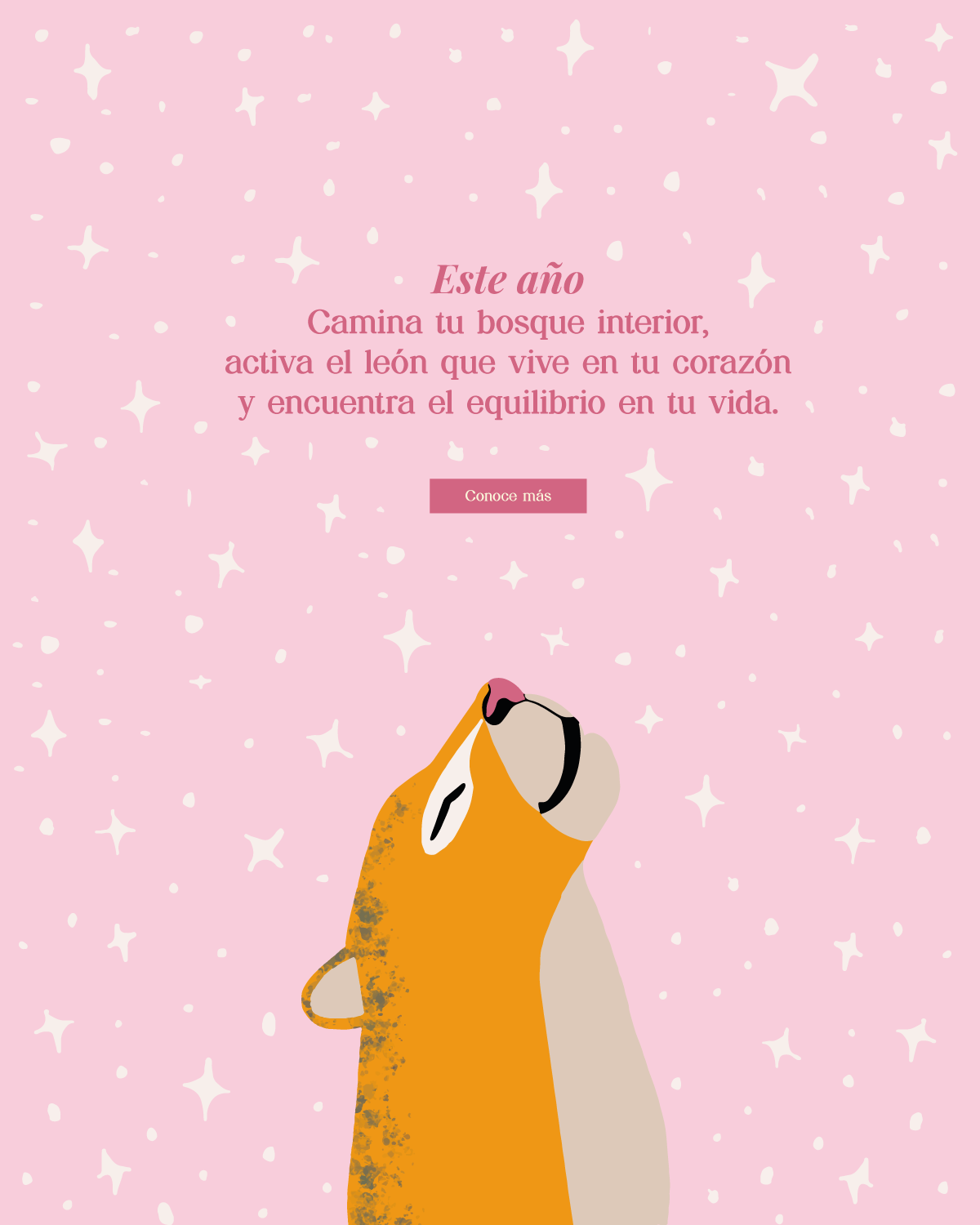 banner-home-3-device